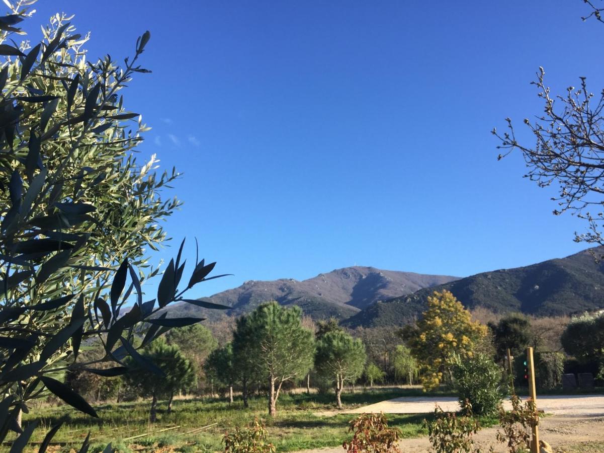 Domaine Pedra Llampada Gite Cerise Villelongue-dels-Monts 外观 照片